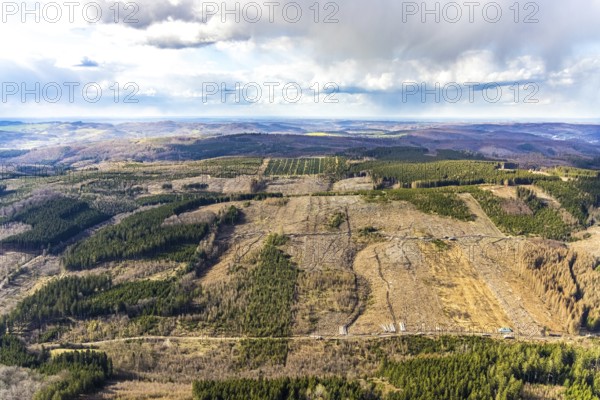 Aerial view, forest damage in the forest area near Hellefeld, Westenfeld, Sundern, Sauerland, North Rhine-Westphalia, Germany, tree mortality, DE, Europe, aerial view, aerial photography, aerial photography, overview, bird's-eye view, forest, forest area, forest damage, forest dieback, birds-eyes view, overview, spruce dieback, bark beetle plague, bark beetle damage, dead spruce, spruce clear-cut, clear-cutting, damaged wood