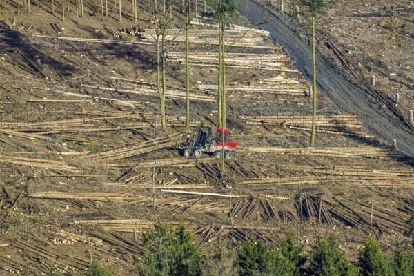 Aerial view, forest damage in forest area with harvester near Hellefeld, Westenfeld, Sundern, Sauerland, North Rhine-Westphalia, Germany, tree mortality, DE, Europe, harvester, timber harvesting machine, timber harvester, crane harvester, aerial view, aerial photography, aerial photography, overview, bird's-eye view, forest, forest area, forest damage, forest dieback, forest harvester, birds-eyes view, overview, spruce dieback, bark beetle plague, bark beetle damage, dead spruce, spruce clear-cut, clear-cutting, damaged wood