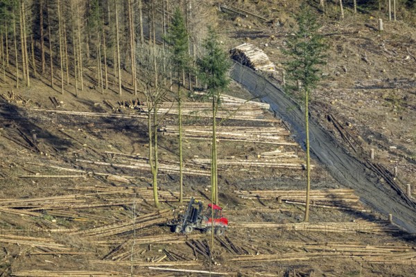 Aerial view, forest damage in forest area with harvester near Hellefeld, Westenfeld, Sundern, Sauerland, North Rhine-Westphalia, Germany, tree mortality, DE, Europe, harvester, timber harvesting machine, timber harvester, crane harvester, aerial view, aerial photography, aerial photography, overview, bird's-eye view, forest, forest area, forest damage, forest dieback, forest harvester, birds-eyes view, overview, spruce dieback, bark beetle plague, bark beetle damage, dead spruce, spruce clear-cut, clear-cutting, damaged wood