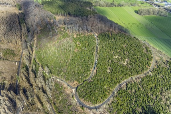 Aerial photo, forest damage in the forest area near Hellefeld, Westenfeld, Sundern, Sauerland, North Rhine-Westphalia, Germany, tree dieback, DE, Europe, aerial photo, aerial photography, aerial photography, overview, bird's eye view, forest, forest area, forest damage, forest dieback, birds-eyes view, overview, spruce dieback, bark beetle plague, bark beetle damage, dead spruce, spruce clear-cut, clear-cutting, damaged wood