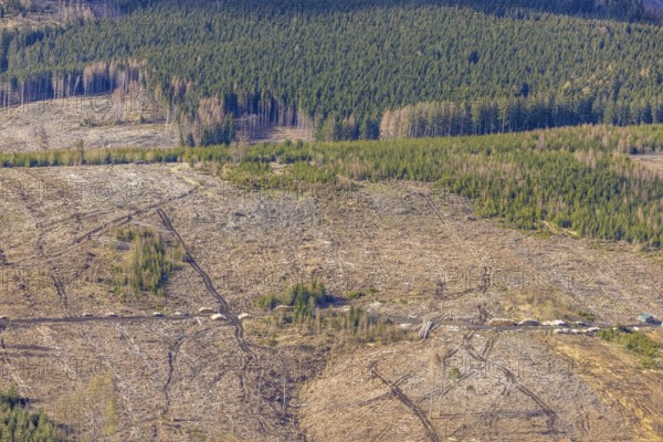Aerial photo, forest damage in the forest area near Hellefeld, Westenfeld, Sundern, Sauerland, North Rhine-Westphalia, Germany, tree dieback, DE, Europe, aerial photo, aerial photography, aerial photography, overview, bird's eye view, forest, forest area, forest damage, forest dieback, birds-eyes view, overview, spruce dieback, bark beetle plague, bark beetle damage, dead spruce, spruce clear-cut, clear-cutting, damaged wood