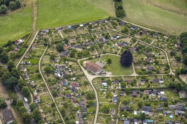 Aerial view, allotment garden site in the south of Schwerte, a week ago there was still land under water at this point - the Ruhr was flooding, course of the Ruhr, Wandhofen, Schwerte, Ruhr area, North Rhine-Westphalia, Germany, DE, Europe, birds-eyes view, aerial view, aerial photography, aerial photography, overview, bird's eye view
