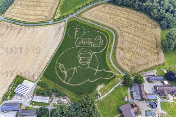 Benedikt Lünemann conjures up a maize labyrinth in his field every year. It is usually socially critical or political motifs. This year, it is a person with mouth and nose protection receiving a vaccination. The farmer's appeal: Get vaccinated against Corona!, Cappenberg, Selm, Ruhr area, North Rhine-Westphalia, Germany, DE, Europe, aerial photo, birds-eyes view, aerial photography, aerial photography, overview, bird's eye view