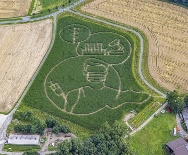 Benedikt Lünemann conjures up a maize labyrinth in his field every year. It is usually socially critical or political motifs. This year, it is a person with mouth and nose protection receiving a vaccination. The farmer's appeal: Get vaccinated against Corona!, Cappenberg, Selm, Ruhr area, North Rhine-Westphalia, Germany, DE, Europe, aerial photo, birds-eyes view, aerial photography, aerial photography, overview, bird's eye view