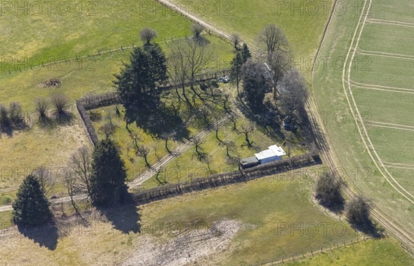 Aerial view, meadow in Helmeringhauser Bruch, Helmeringhausen, Olsberg, Sauerland, North Rhine-Westphalia, Germany, DE, Europe, green trees, landscape conservation area, aerial view, aerial photography, aerial photography, overview, bird's-eye view, overview