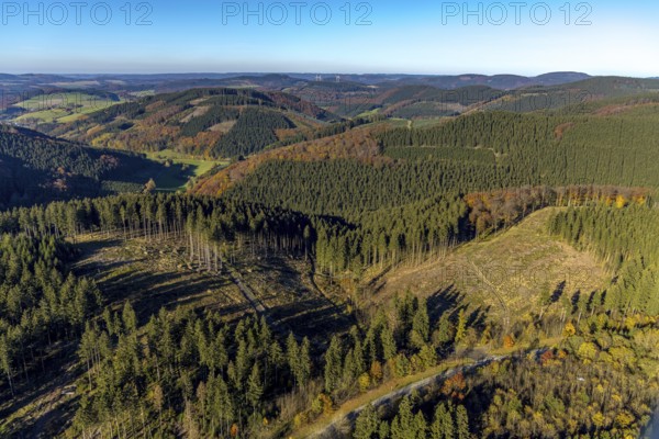 Aerial view, forest area with forest damage in the district Oberrarbach in Schmallenberg, Sauerland, North Rhine-Westphalia, Germany, tree dieback, bark beetle damage, bark beetle plague, DE, Europe, spruce dieback, clear-cutting, aerial view, aerial photography, aerial photography, Schmallenberg, overview, bird's eye view, forest, forest damage, forest dieback, birds-eyes view, overview