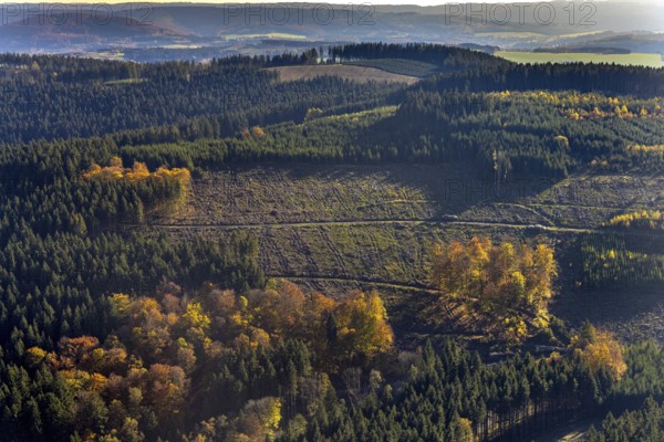 Aerial view, mixed forest in autumn colours in the district Altenilpe in Schmallenberg, Sauerland, North Rhine-Westphalia, Germany, DE, Europe, autumn colours, autumn forest, autumn forest colours, aerial view, aerial photography, aerial photography, mixed forest, Schmallenberg, overview, bird's-eye view, birds-eyes view, autumnal forest, overview
