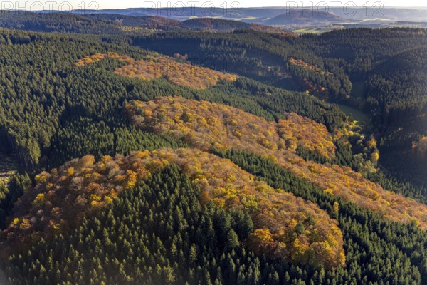 Aerial view, mixed forest in autumn colours in the district Altenilpe in Schmallenberg, Sauerland, North Rhine-Westphalia, Germany, DE, Europe, autumn colours, autumn forest, autumn forest colours, aerial view, aerial photography, aerial photography, mixed forest, Schmallenberg, overview, bird's-eye view, birds-eyes view, autumnal forest, overview