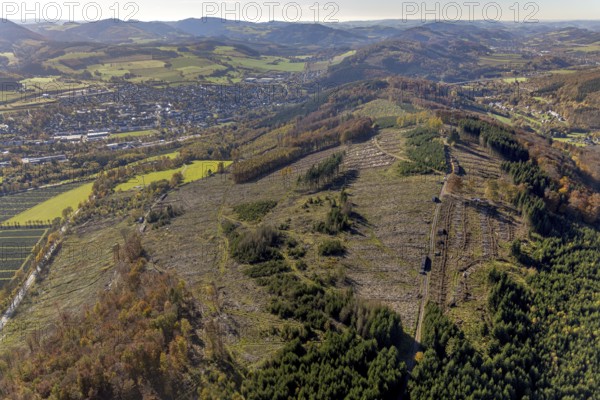 Aerial photograph, forest area with forest damage in the Bigge district of Olsberg, Sauerland, North Rhine-Westphalia, Germany, tree death, bark beetle damage, bark beetle plague, DE, Europe, spruce death, clear-cutting, aerial photograph, aerial photography, aerial photography, Olsberg, overview, bird's-eye view, forest, forest damage, forest dieback, birds-eyes view, overview