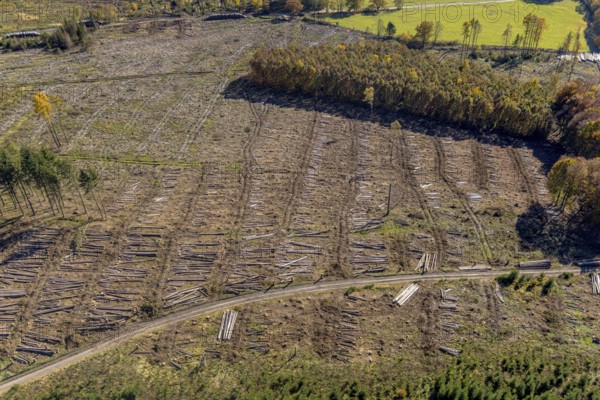 Aerial photograph, forest area with forest damage in the Bigge district of Olsberg, Sauerland, North Rhine-Westphalia, Germany, tree death, bark beetle damage, bark beetle plague, DE, Europe, spruce death, clear-cutting, aerial photograph, aerial photography, aerial photography, Olsberg, overview, bird's-eye view, forest, forest damage, forest dieback, birds-eyes view, overview