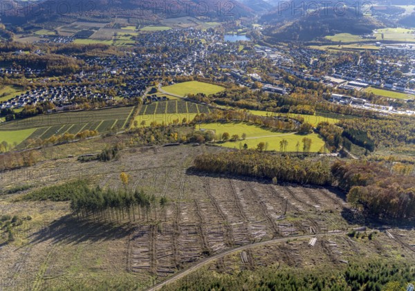 Aerial photograph, forest area with forest damage in the Bigge district of Olsberg, Sauerland, North Rhine-Westphalia, Germany, tree death, bark beetle damage, bark beetle plague, DE, Europe, spruce death, clear-cutting, aerial photograph, aerial photography, aerial photography, Olsberg, overview, bird's-eye view, forest, forest damage, forest dieback, birds-eyes view, overview