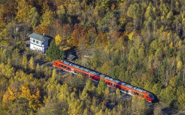 Aerial view, S-Bahn at a guard house in autumn forest in the district of Bigge in Olsberg, Sauerland, North Rhine-Westphalia, Germany, DE, Europe, shapes and colours, aerial view, aerial photography, aerial photography, Olsberg, local rail passenger transport, overview, bird's-eye view, overview