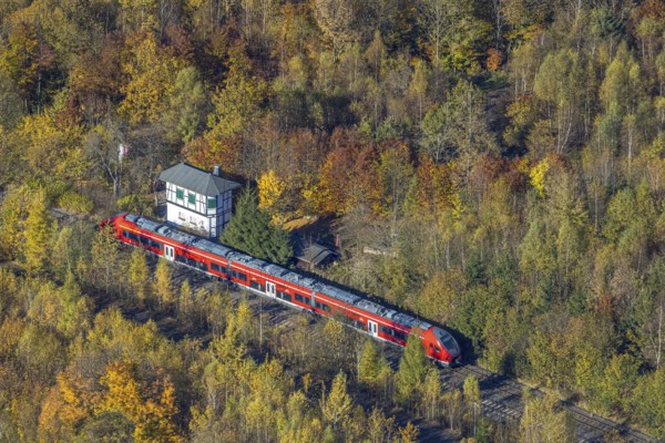 Aerial view, S-Bahn at a guard house in autumn forest in the district of Bigge in Olsberg, Sauerland, North Rhine-Westphalia, Germany, DE, Europe, shapes and colours, aerial view, aerial photography, aerial photography, Olsberg, local rail passenger transport, overview, bird's-eye view, overview