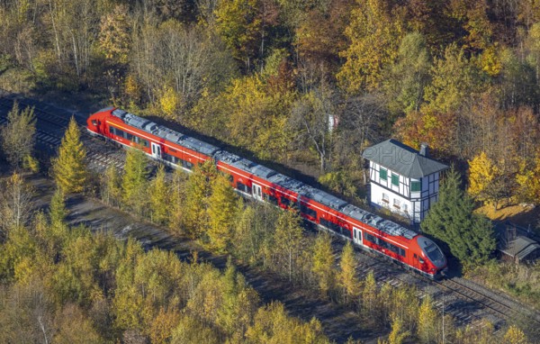 Aerial view, S-Bahn at a guard house in autumn forest in the district of Bigge in Olsberg, Sauerland, North Rhine-Westphalia, Germany, DE, Europe, shapes and colours, aerial view, aerial photography, aerial photography, Olsberg, local rail passenger transport, overview, bird's-eye view, overview