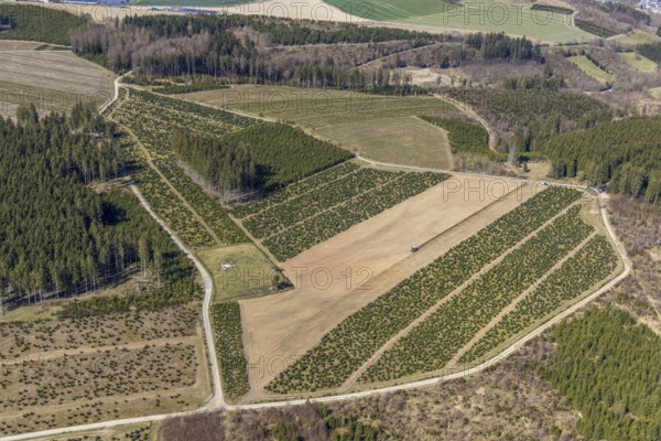 Aerial view, field work with tractor, Am Donscheid, Fredeburg, Schmallenberg, Sauerland, North Rhine-Westphalia, Germany, DE, Europe, agriculture, aerial view, aerial photography, aerial photography, overview, bird's-eye view, overview
