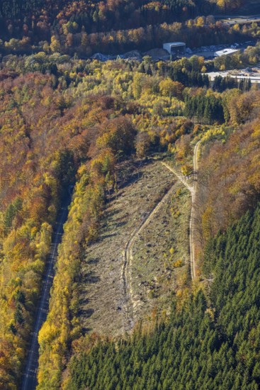Luftbild, Waldgebiet mit Waldschäden im Ortsteil Bigge in Olsberg, Sauerland, Nordrhein-Westfalen, Deutschland, Baumsterben, BorkenkäferSchäden, Borkenkäferplage, DE, Europa, Fichtensterben, Kahlschlag, Luftaufnahme, Luftbildfotografie, Luftfotografie, Olsberg, Übersicht, Vogelperspektive, Wald, Waldschaden, Waldschäden, Waldsterben, birds-eyes view, overview