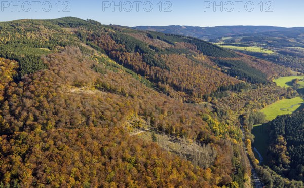 Aerial view, autumn forest and Bruchhauser Steine in the district Bruchhausen in Olsberg, Sauerland, North Rhine-Westphalia, Germany, DE, Europe, geotope with rock formations, landscape conservation area, aerial view, aerial photography, aerial photography, nature reserve, Olsberg, overview, bird's-eye view, birds-eyes view, overview