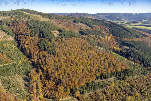 Aerial view, autumn forest and Bruchhauser Steine in the district Bruchhausen in Olsberg, Sauerland, North Rhine-Westphalia, Germany, DE, Europe, geotope with rock formations, landscape conservation area, aerial view, aerial photography, aerial photography, nature reserve, Olsberg, overview, bird's-eye view, birds-eyes view, overview