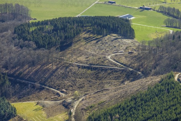 Aerial photo, forest damage and tree death at Wilzenberg, Winkhausen, Schmallenberg, Sauerland, North Rhine-Westphalia, Germany, tree death, DE, Europe, aerial photo, aerial photography, aerial photography, overview, bird's-eye view, forest area, forest damage, forest death, birds-eyes view, overview