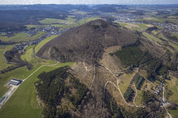 Aerial view, forest damage and tree dieback at Wilzenberg, Winkhausen, Schmallenberg, Sauerland, North Rhine-Westphalia, Germany, DE, Europe, distant view, hilly landscape, aerial view, aerial photography, aerial photography, overview, bird's eye view, forest, forest area, forest damage, forest dieback, birds-eyes view, overview