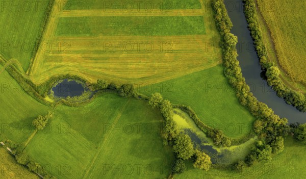 Aerial view, river Ems in the nature reserve Emsaue at the district Gellendorf in Rheine, Münsterland, North Rhine-Westphalia, Germany, DE, Europe, shapes and colours, aerial view, aerial photography, aerial photography, NSG Emsauen, Rheine, overview, bird's eye view, birds-eyes view, overview