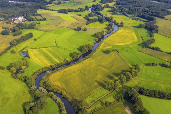 Aerial view, river Ems in the nature reserve Emsaue at the district Gellendorf in Rheine, Münsterland, North Rhine-Westphalia, Germany, DE, Europe, shapes and colours, aerial view, aerial photography, aerial photography, NSG Emsauen, Rheine, overview, bird's eye view, birds-eyes view, overview