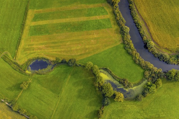 Aerial view, river Ems in the nature reserve Emsaue at the district Gellendorf in Rheine, Münsterland, North Rhine-Westphalia, Germany, DE, Europe, shapes and colours, aerial view, aerial photography, aerial photography, NSG Emsauen, Rheine, overview, bird's eye view, birds-eyes view, overview