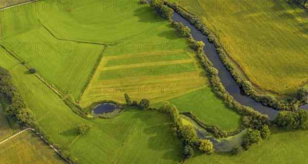 Aerial view, river Ems in the nature reserve Emsaue at the district Gellendorf in Rheine, Münsterland, North Rhine-Westphalia, Germany, DE, Europe, shapes and colours, aerial view, aerial photography, aerial photography, NSG Emsauen, Rheine, overview, bird's eye view, birds-eyes view, overview
