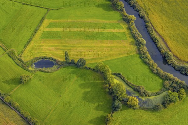 Aerial view, river Ems in the nature reserve Emsaue at the district Gellendorf in Rheine, Münsterland, North Rhine-Westphalia, Germany, DE, Europe, shapes and colours, aerial view, aerial photography, aerial photography, NSG Emsauen, Rheine, overview, bird's eye view, birds-eyes view, overview