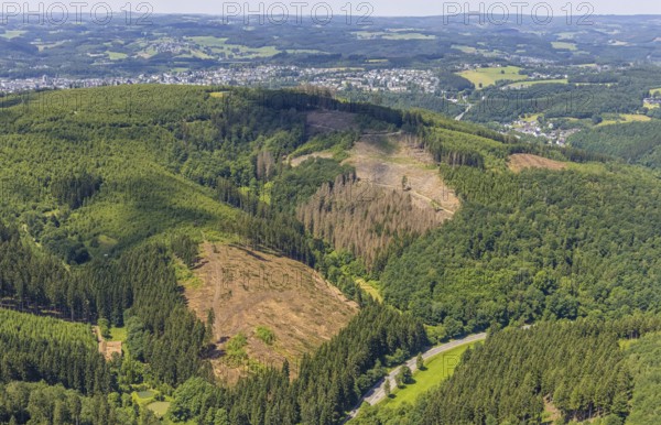 Aerial view, forest area with forest damage and clear cutting, Neuenkleusheimer Wald, Rehringhausen, Olpe, Sauerland, North Rhine-Westphalia, Germany, tree dieback, bark beetle damage, bark beetle plague, DE, drought, Europe, spruce dieback, clear cutting, aerial photograph, aerial photography, aerial photography, drought, overview, bird's-eye view, forest, forest area, forest damage, forest dieback, lack of water, birds-eyes view, overview