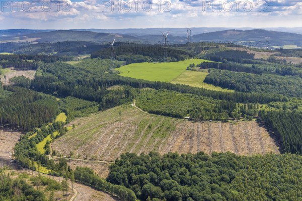 Aerial view, forest area with forest damage and clear cutting, Neuenkleusheimer Wald, Rehringhausen, Olpe, Sauerland, North Rhine-Westphalia, Germany, tree dieback, bark beetle damage, bark beetle plague, DE, drought, Europe, distant view, spruce dieback, clear cutting, aerial view, aerial photography, aerial photography, drought, overview, bird's-eye view, forest, forest area, forest damage, forest dieback, water shortage, birds-eyes view, overview