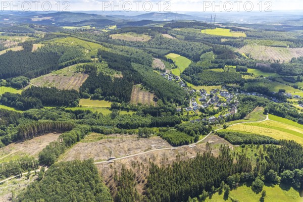 Aerial view, forest area with forest damage and clear cutting, Neuenkleusheimer Wald, Rehringhausen, Olpe, Sauerland, North Rhine-Westphalia, Germany, tree dieback, bark beetle damage, bark beetle plague, DE, drought, Europe, distant view, spruce dieback, clear cutting, aerial view, aerial photography, aerial photography, drought, overview, bird's-eye view, forest, forest area, forest damage, forest dieback, water shortage, birds-eyes view, overview