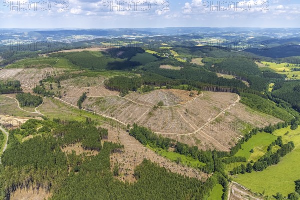 Aerial view, forest area with forest damage and clear cutting, Oberveischede, Olpe, Sauerland, North Rhine-Westphalia, Germany, waste, tree death, bark beetle plague, DE, drought, Europe, spruce dieback, hilly landscape, clear cutting, clear cutting, aerial photograph, aerial photography, aerial photography, Neuenwald, drought, overview, bird's eye view, forest, forest area, forest damage, forest damage, forest dieback, lack of water, birds-eyes view, overview