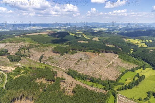 Aerial view, forest area with forest damage and clear cutting, Oberveischede, Olpe, Sauerland, North Rhine-Westphalia, Germany, waste, tree death, bark beetle plague, DE, drought, Europe, spruce dieback, hilly landscape, clear cutting, clear cutting, aerial photograph, aerial photography, aerial photography, Neuenwald, drought, overview, bird's eye view, forest, forest area, forest damage, forest damage, forest dieback, lack of water, birds-eyes view, overview