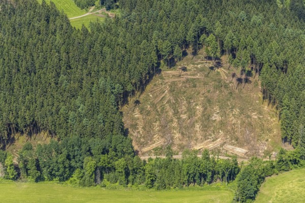 Aerial view, forest area with forest damage in Oberveischede, Olpe, Sauerland, North Rhine-Westphalia, Germany, tree death, tree trunks, bark beetle plague, DE, drought, Europe, spruce dieback, clear-cutting, aerial view, aerial photography, aerial photography, drought, overview, bird's eye view, forest, forest area, forest damage, forest dieback, lack of water, birds-eyes view, overview