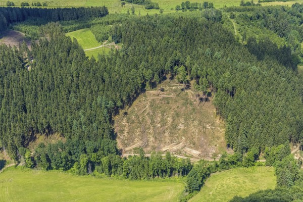 Aerial view, forest area with forest damage in Oberveischede, Olpe, Sauerland, North Rhine-Westphalia, Germany, tree death, tree trunks, bark beetle plague, DE, drought, Europe, spruce dieback, clear-cutting, aerial view, aerial photography, aerial photography, drought, overview, bird's eye view, forest, forest area, forest damage, forest dieback, lack of water, birds-eyes view, overview