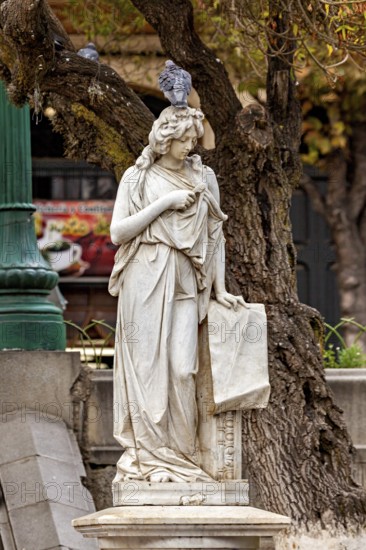 A classic marble statue with a dove on its head, surrounded by autumnal trees and rustic scenery, A dove sits on a statue in the streets of La Paz Bolivia