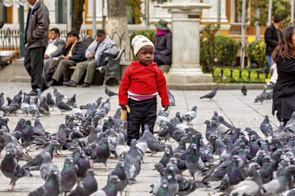 A small child stands among a large group of pigeons in a busy municipal park, A small boy stands among a flock of pigeons in La Paz Bolivia