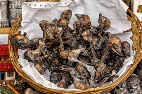 A basket full of dried birds is offered as a souvenir at a market stall, The witches' market in La Paz, Bolivia