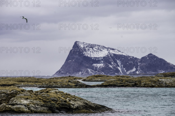 Norway tromsö snow mountains sea