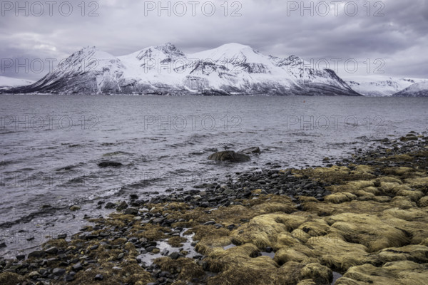Norway tromsö snow mountains sea
