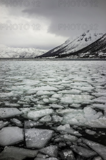 Norway tromsö ice floes ice winter cold mountains