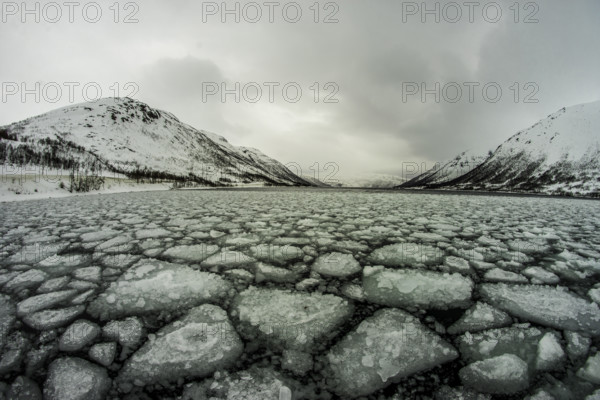 Norway tromsö ice floes ice winter cold mountains