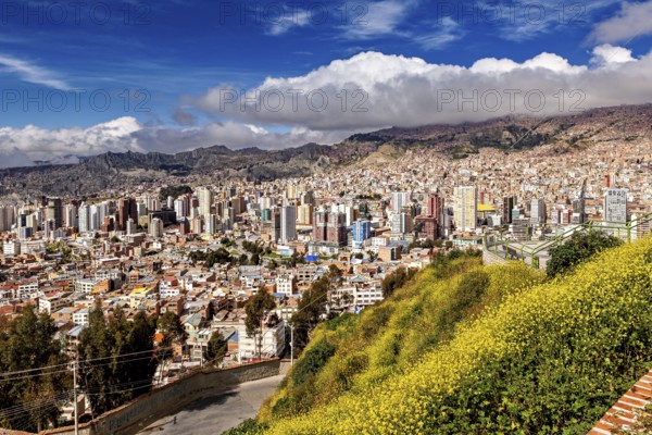City scene with yellow flowers in the foreground and La Paz in the background under a cloudy sky, The houses and skyscrapers of the city centre of La Paz in Bolivia