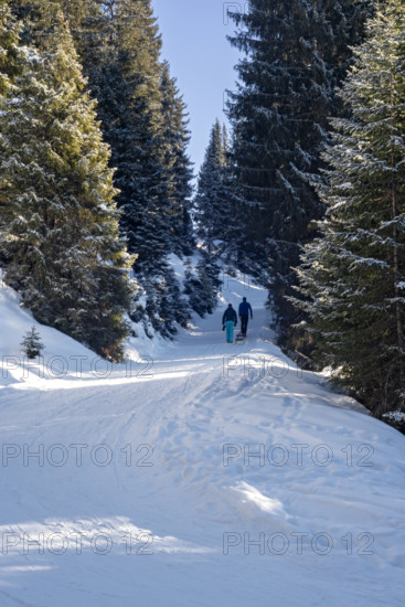 Two tobogganists on the ascent, toboggan run, Tyrol, Austria