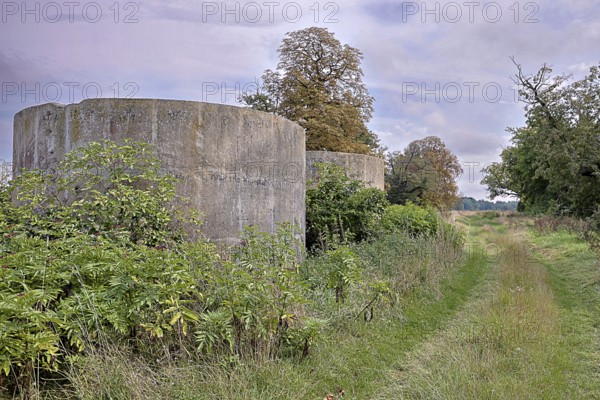 Abandoned silo buildings next to an overgrown country lane under a cloudy sky, 400 year old lime tree avenue Ladendorf Weinviertel Lower Austria Austria