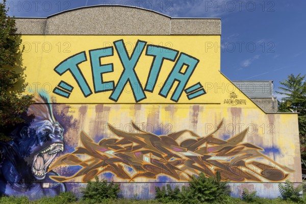 Dynamic graffiti of a roaring lion and large text on a yellow wall, at Linz harbour Upper Austria Austria