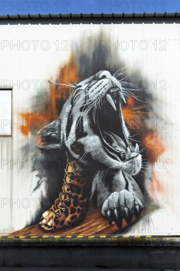 Realistic graffiti of a roaring leopard on the outside wall of a building, at the harbour of Linz Upper Austria Austria