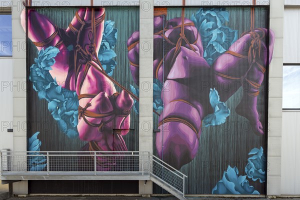 Mural with Shibari theme and bright turquoise and pink colours, at the port of Linz Upper Austria Austria