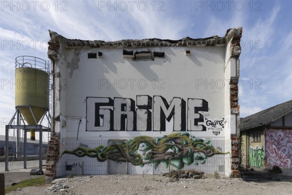 Abandoned building with the lettering Grime and plant pattern, at the harbour Linz Upper Austria Austria